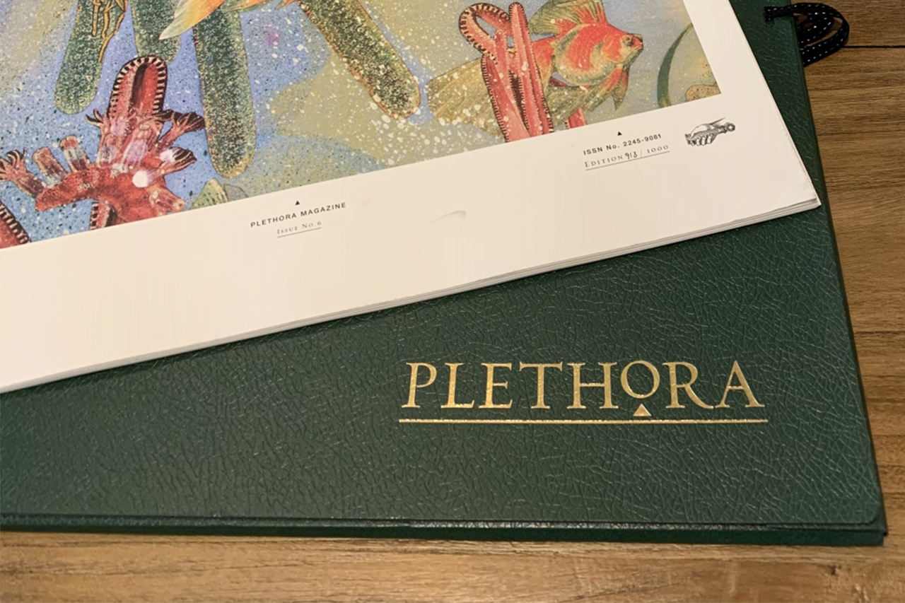 プレソラマガジンPLETHORA MAGAZINE No.6 希少価値の高いアート雑誌 - プレソラマガジン No.6 – TOWARDS